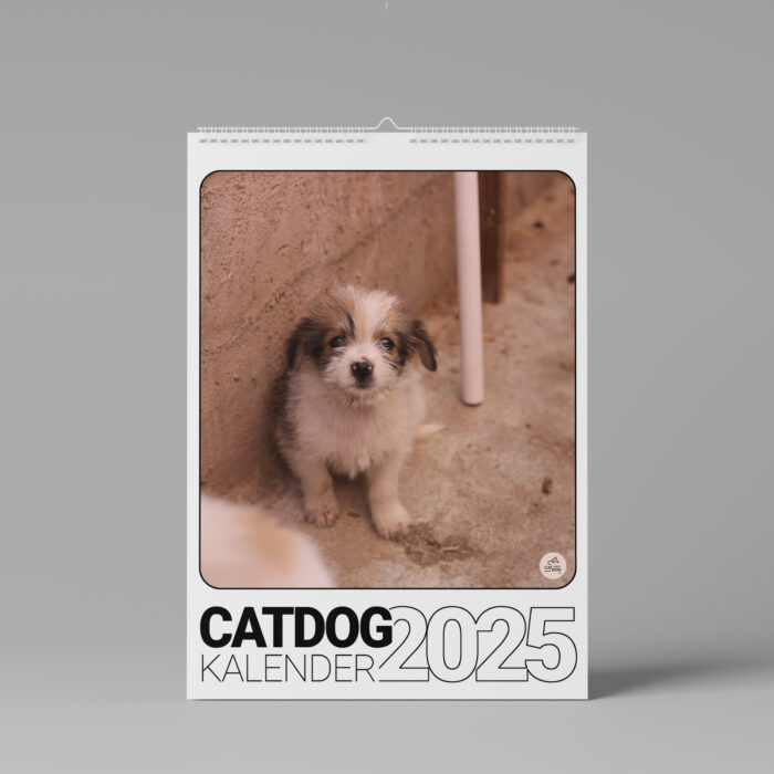 CATDOG e.V. Kalender - 2025